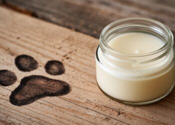 crema pentru labutele cainilor