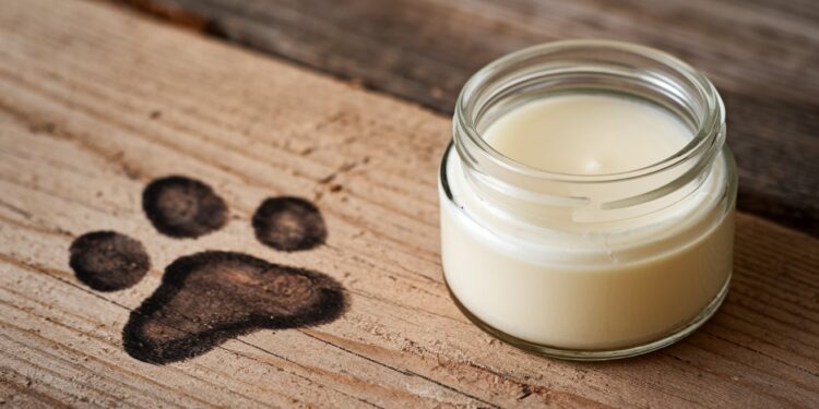 crema pentru labutele cainilor